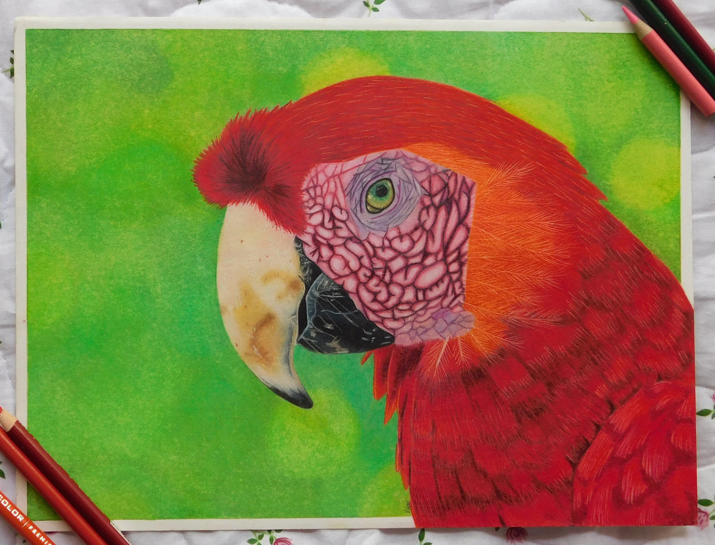 Parrot