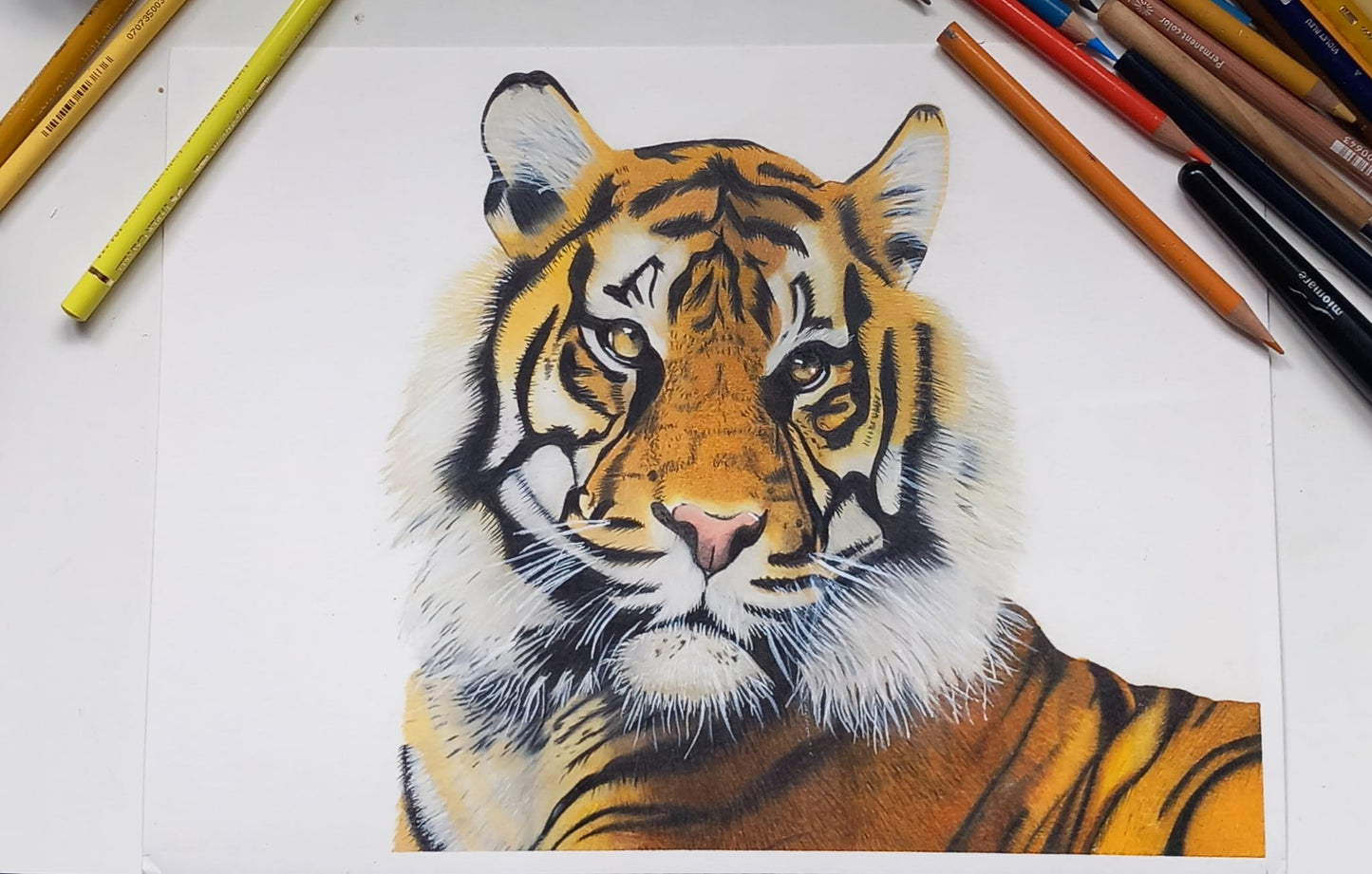 Original Tiger