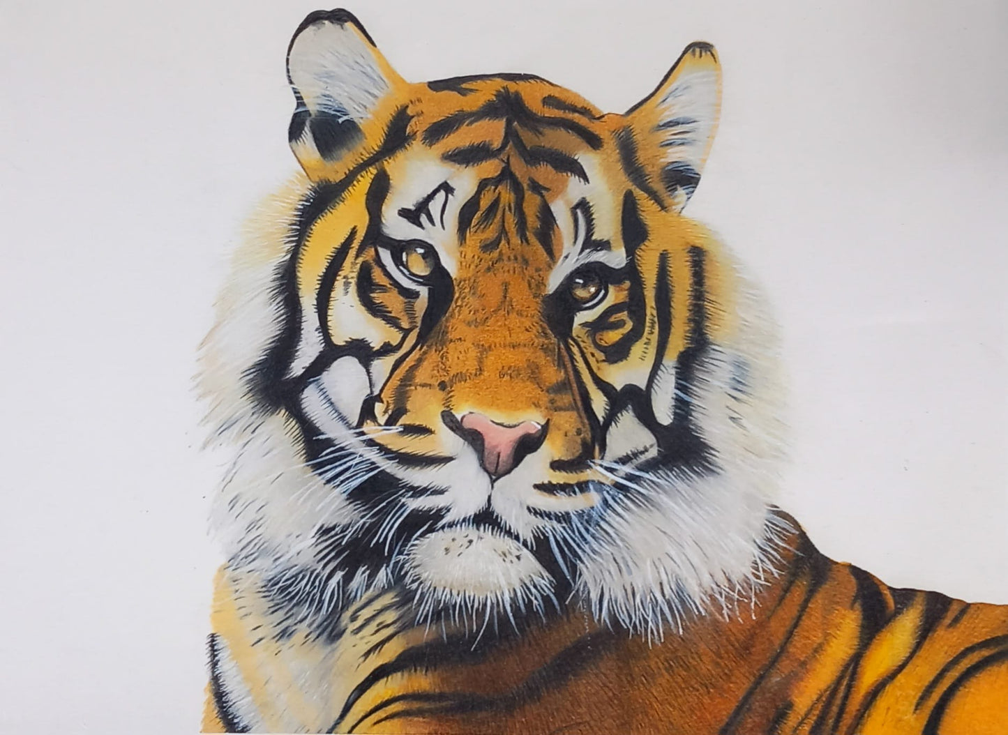 Original Tiger